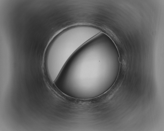 X0000110710484200906121059