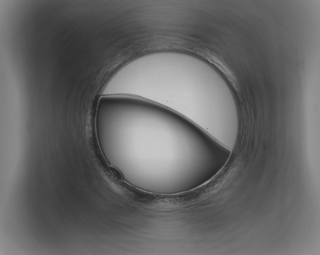 X0000110710489200906121059