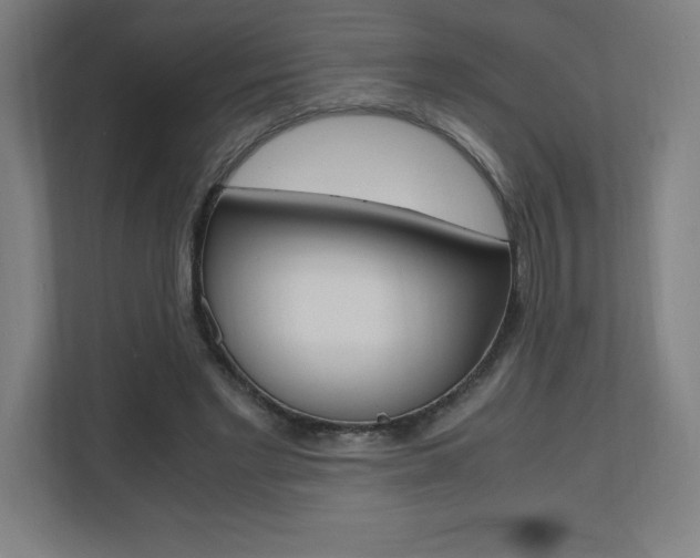 X0000110710493200906121059