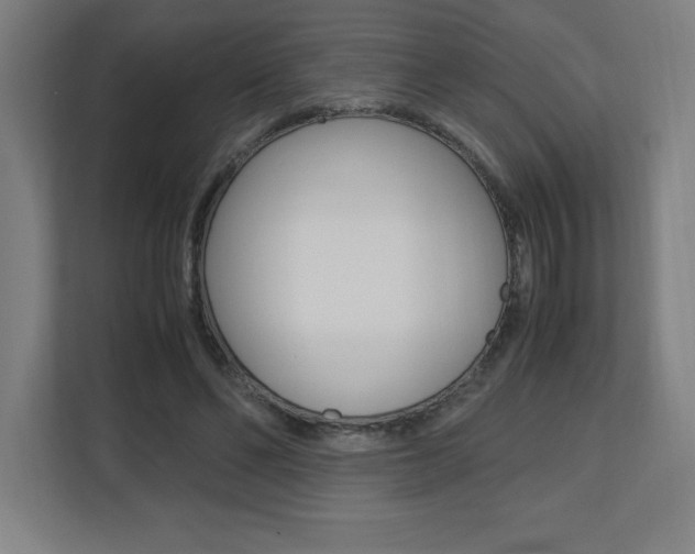 X0000110710494200906121059