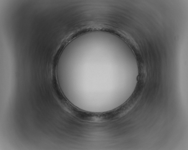 X0000110710496200906121059