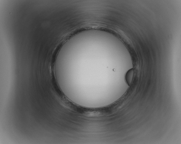 X0000110710500200906121058