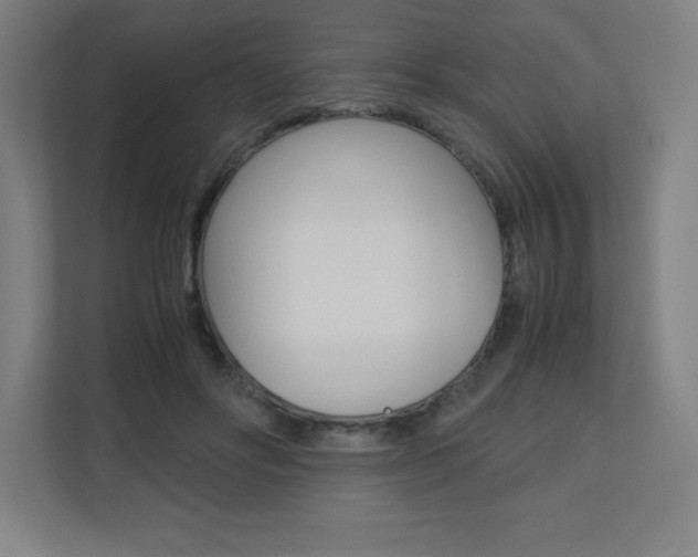 X0000110710502200906121058