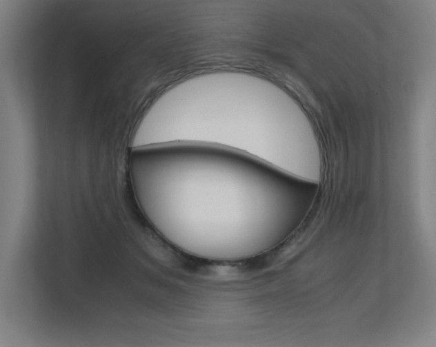 X0000110710509200906121058