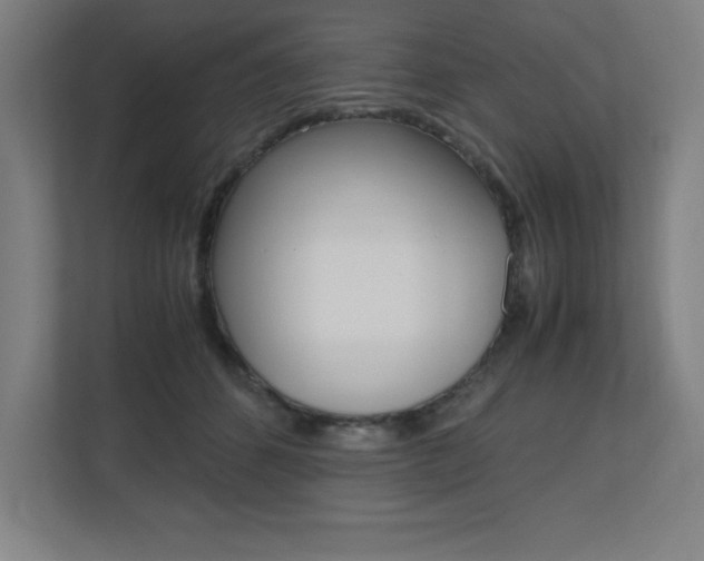 X0000110710512200906121058
