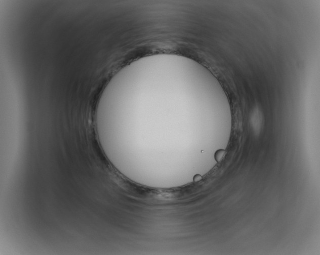 X0000110710518200906121058