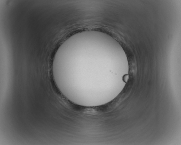 X0000110710519200906121058