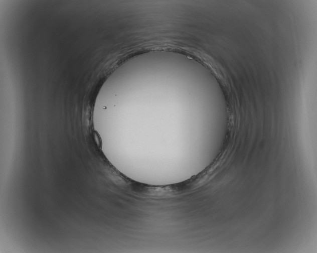 X0000110710525200906121058