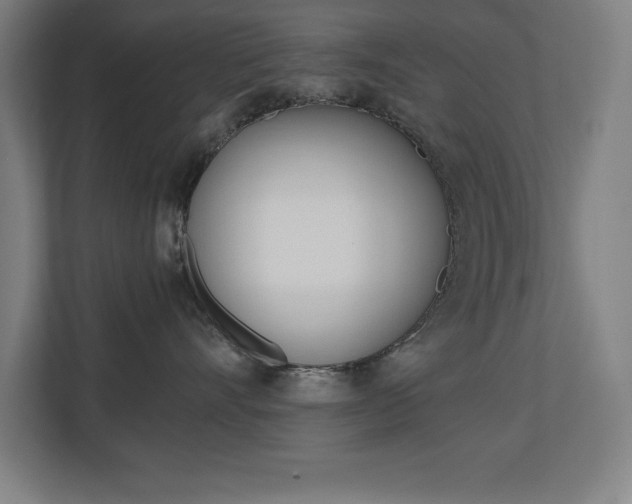 X0000110710528200906121058