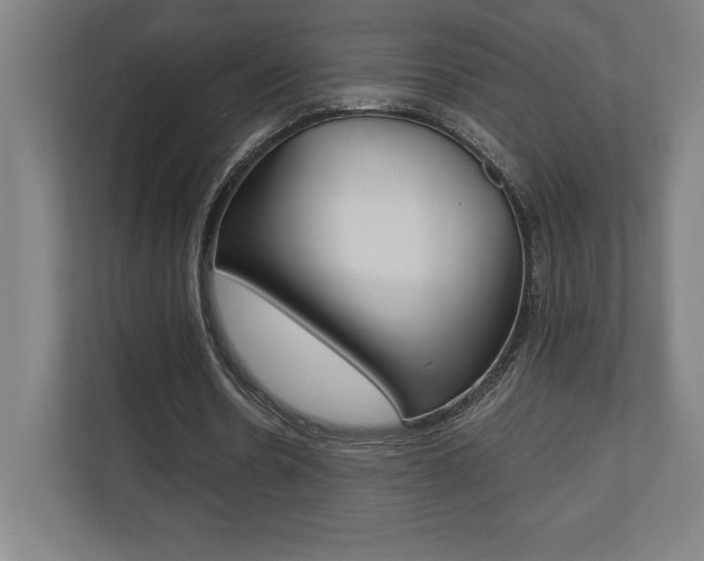 X0000110710530200906121057