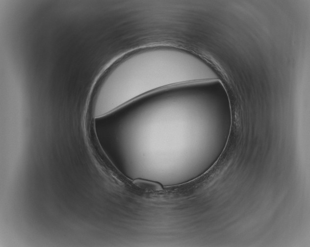 X0000110710532200906121058