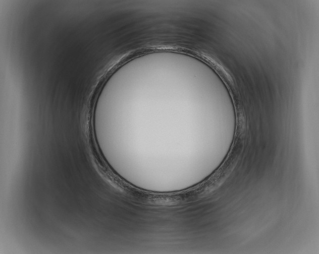 X0000110710533200906121058