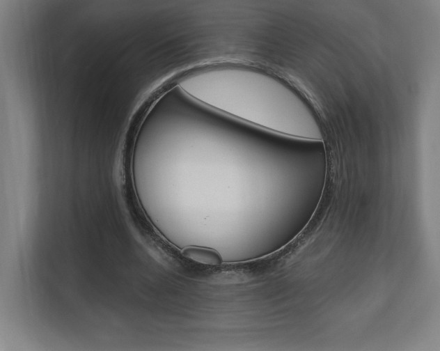 X0000110710536200906121058