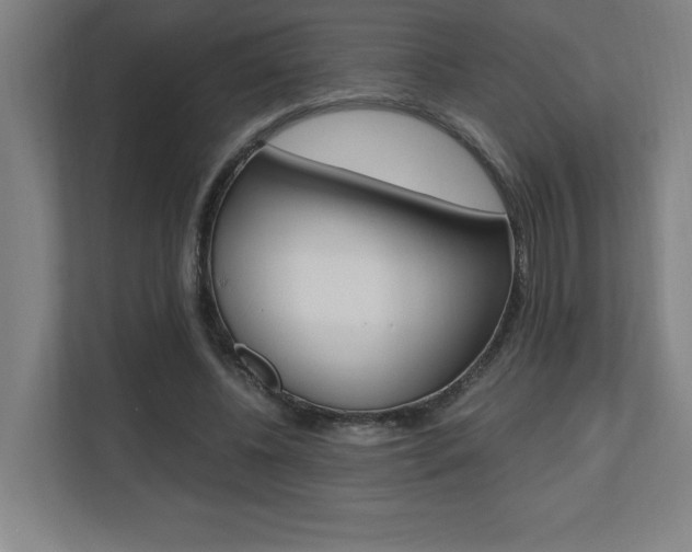 X0000110710540200906121058