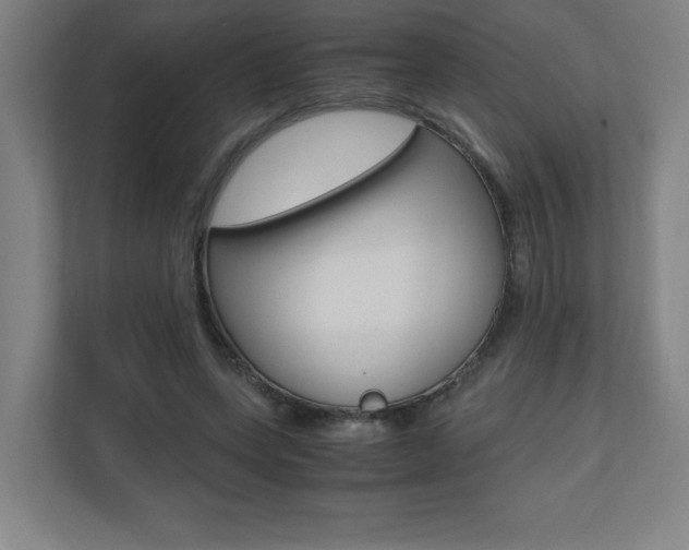 X0000110710543200906121058