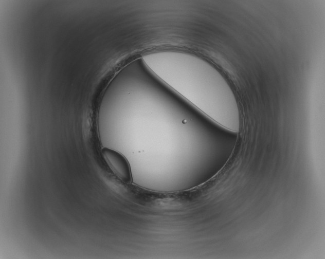 X0000110710544200906121058