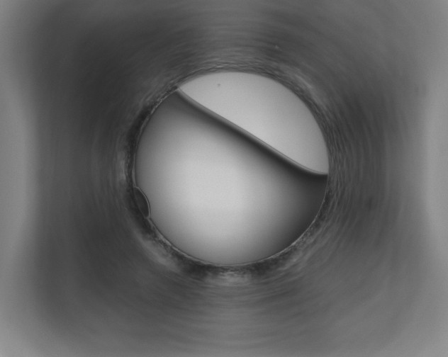 X0000110710546200906121058