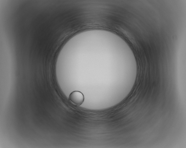 X0000110710548200906121058
