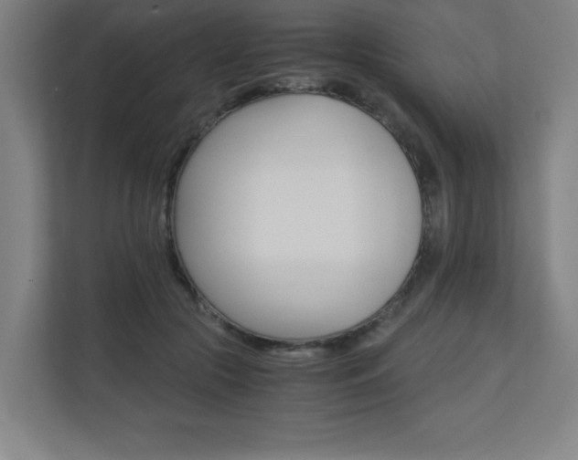 X0000110710553200906121058