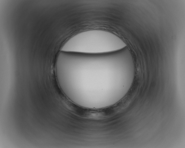 X0000110710555200906121058