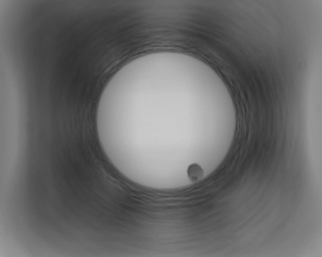 X0000110710556200906121058