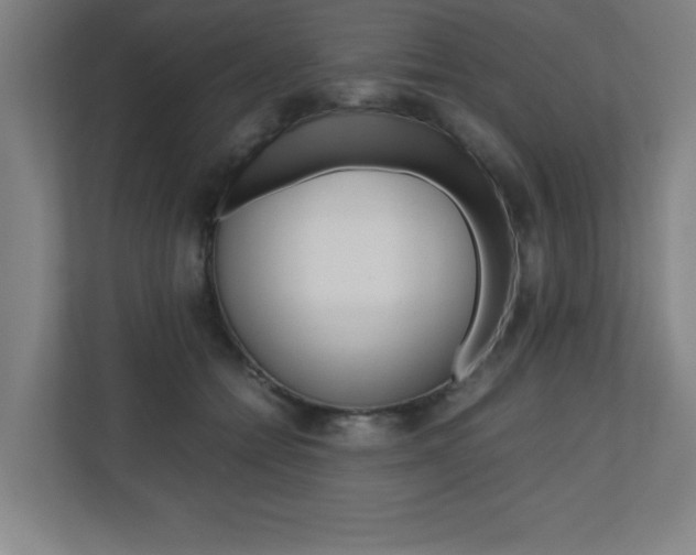 X0000110710558200906121058
