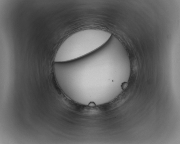 X0000110710559200906121058