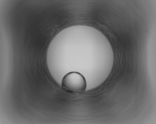 X0000110710560200906121058