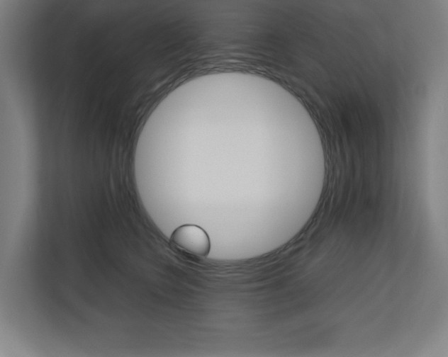 X0000110710566200906121058