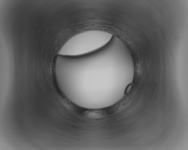 X0000110710567200906121058