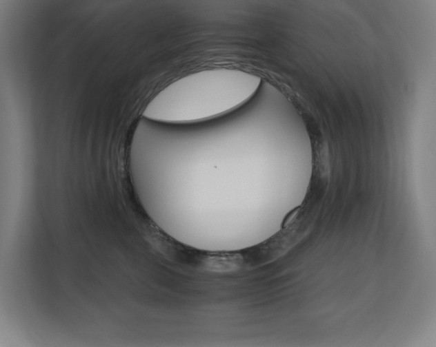 X0000110710571200906121058