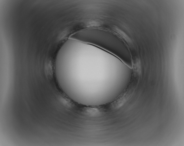 X0000110710572200906121058