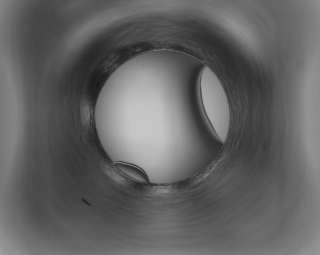 X0000110710574200906121058