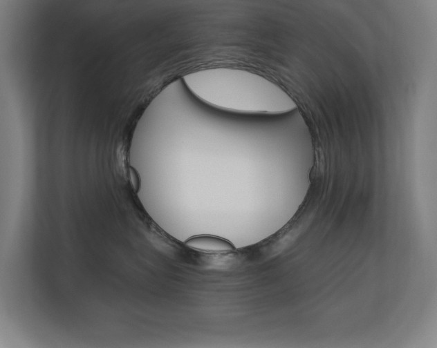 X0000110710575200906121058