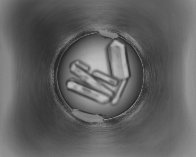 X0000110710581200906121057