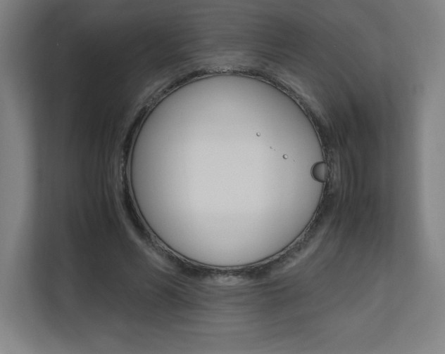 X0000110710590200906121057