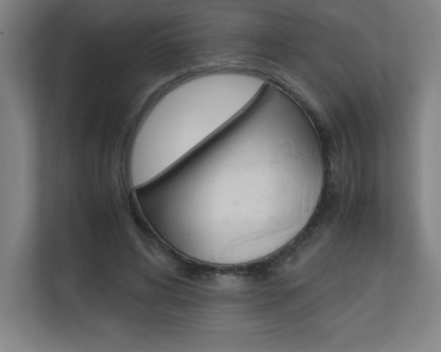 X0000110710592200906121057