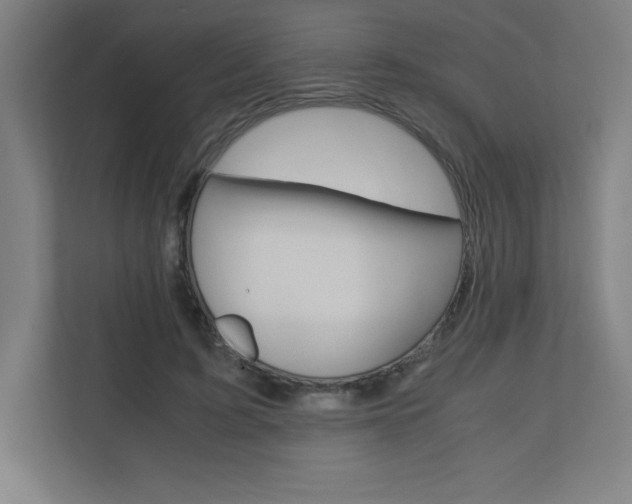 X0000110710595200906121057