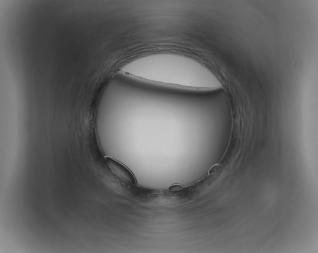 X0000110710601200906121057