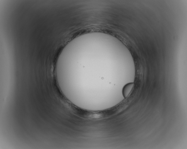 X0000110710610200906121057