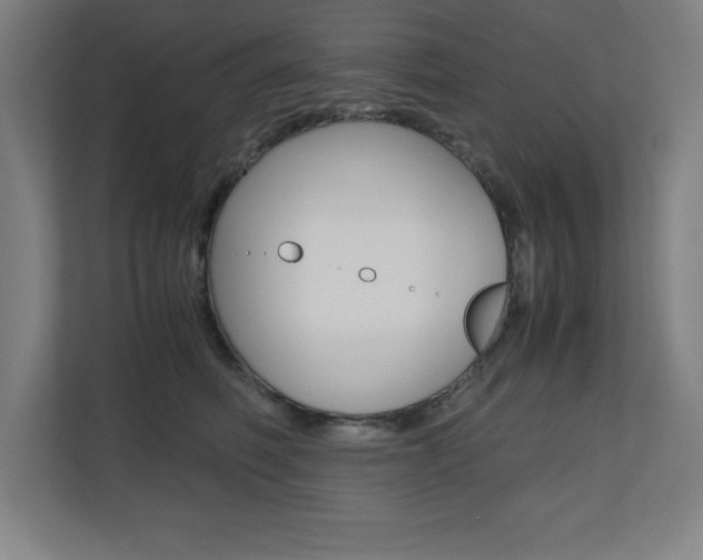 X0000110710614200906121057