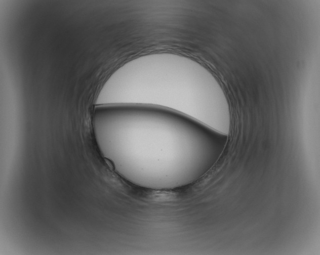 X0000110710617200906121057