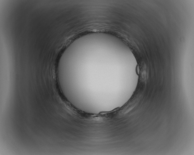 X0000110710620200906121057