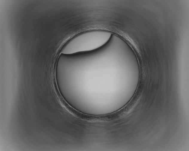 X0000110710625200906121056