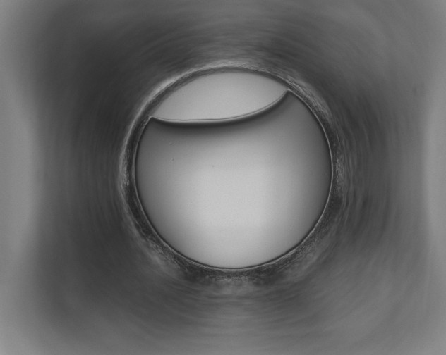 X0000110710628200906121056
