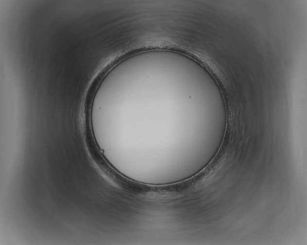 X0000110710630200906121056