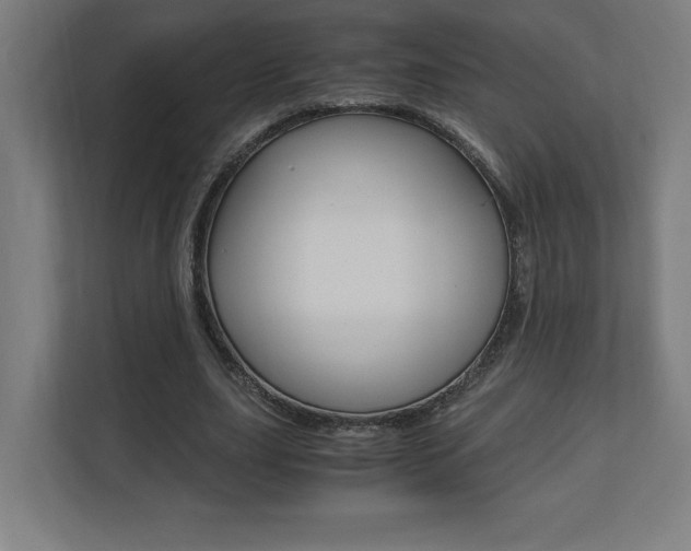X0000110710631200906121056