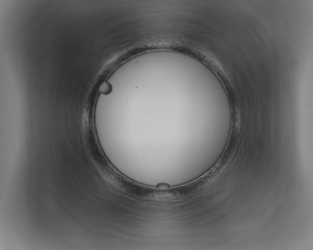 X0000110710636200906121056