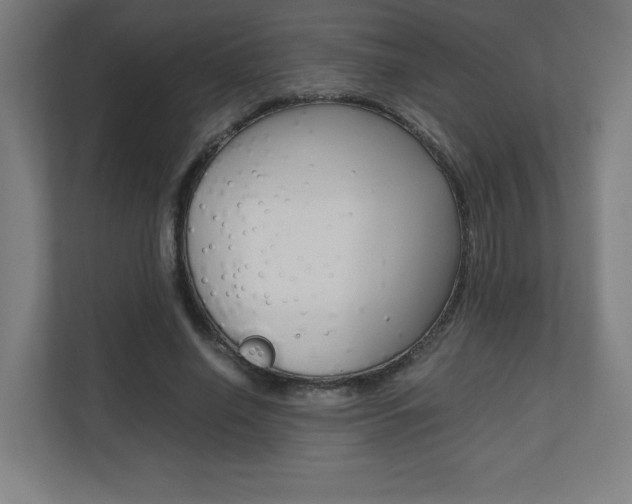 X0000110710638200906121056