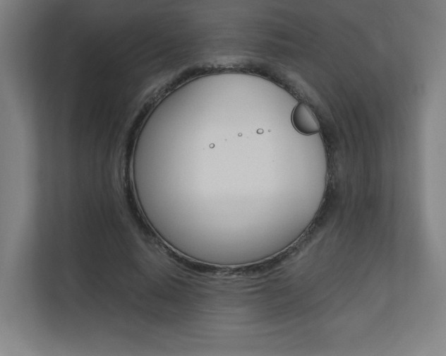 X0000110710640200906121056